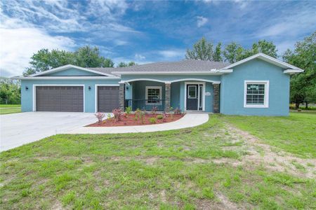New construction Single-Family house 3603 Pioneer Country Trail, Plant City, FL 33567 - photo