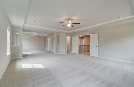 New construction Single-Family house 123 Crabswood Drive, Mcdonough, GA 30253 Everest III- photo 25 25