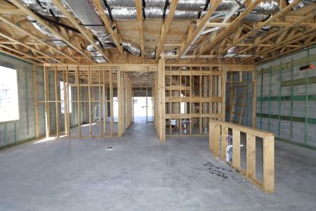 New construction Single-Family house 2463 Sunny Pebble Loop, Zephyrhills, FL 33540 Castellana- photo 36 36
