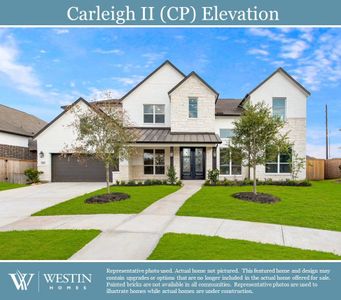 New construction Single-Family house The Carleigh II, 119 Teralyn Grove Loop, Willis, TX 77318 - photo