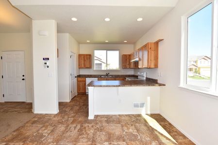 New construction Single-Family house 850 Forest Canyon Road, Severance, CO 80550 - photo 35 35