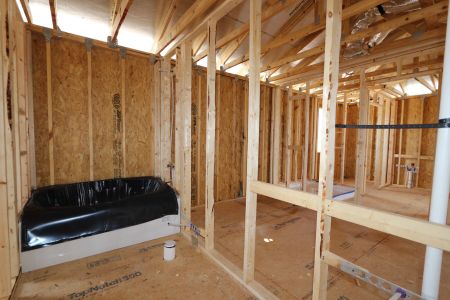 New construction Single-Family house 31823 Sapna Chime Drive, Wesley Chapel, FL 33545 Mira Lago- photo 33 33