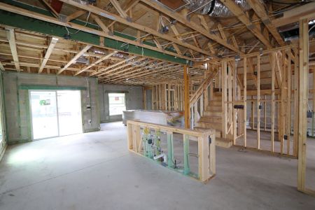 New construction Single-Family house 12383 Hilltop Farms Drive, Dade City, FL 33525 Malibu- photo 53 53