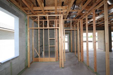 New construction Single-Family house 31801 Sapna Chime Drive, Wesley Chapel, FL 33545 Alenza- photo 27 27