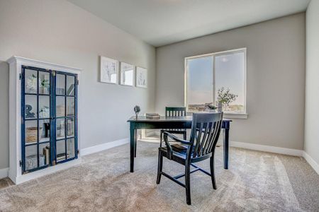 New construction Townhouse house 6248 Vernazza Way, Windsor, CO 80550 - photo 38 38