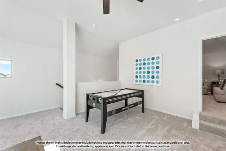New construction Single-Family house 925 Bluebird Sky Drive, Fort Worth, TX 76247 Carolina IV- photo 33 33