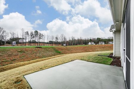 New construction Single-Family house 35 Hornbeam Rd, Youngsville, NC 27596 Milbrook- photo 63