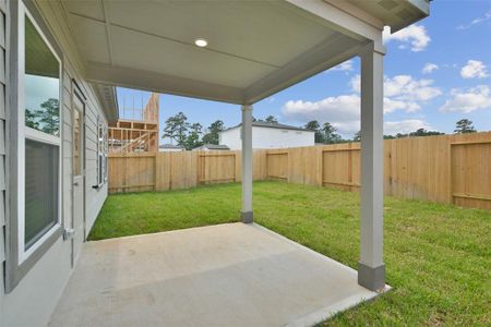 New construction Single-Family house 8372 Bristlecone Pine Way, Magnolia, TX 77354 - photo 38 38