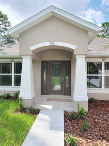 New construction Single-Family house 12233 Peregrine Falcon Avenue, Weeki Wachee, FL 34614 - photo