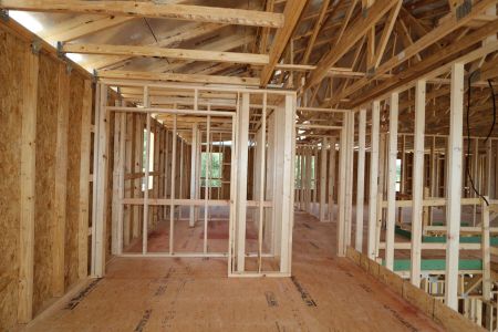 New construction Single-Family house 9611 Crescent Ray Drive, Wesley Chapel, FL 33545 Dali- photo 11 11