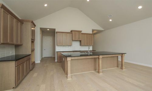 New construction Single-Family house 2401 Seaglass Terrace Drive, Katy, TX 77493 Vanderbilt- photo 13 13