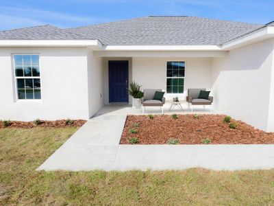 New construction Single-Family house Silver Springs, FL 34488 - photo 0 0