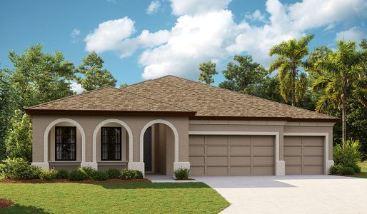 New construction Single-Family house 12832 Twin Bridges Drive, Riverview, FL 33579 - photo 1 1