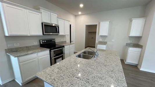 New construction Single-Family house 319 Vitex Drive, Royse City, TX 75189 - photo 2 2