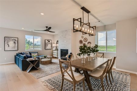 New construction Single-Family house 797 Sawdust Dr, Brighton, CO 80601 - photo 8 8