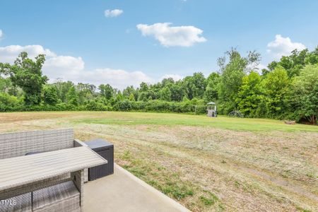 New construction Single-Family house 172 Santa Rosa Way, Four Oaks, NC 27524 - photo 28 28