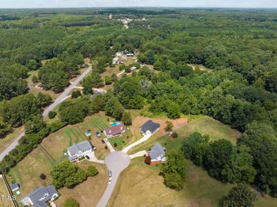 New construction Single-Family house 55 Sterling Drive Drive, Franklinton, NC 27525 - photo 50 50