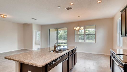 New construction Single-Family house 5739 Lakeside Landings Boulevard, Winter Haven, FL 33881 - photo 13 13