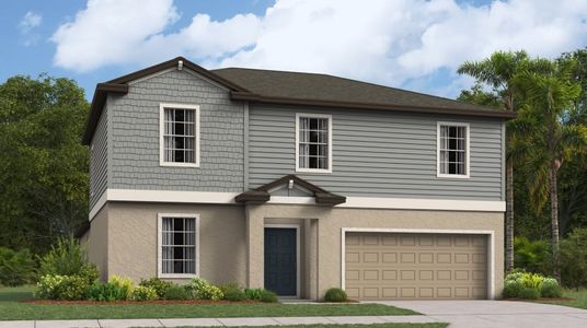 New construction Single-Family house Raleigh, 20421 Rose Cottage Way, Land O' Lakes, FL 34637 - photo