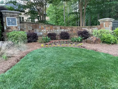 New construction Single-Family house 1403 Becklow Court, Unit 36, Wesley Chapel, NC 28079 - photo 0