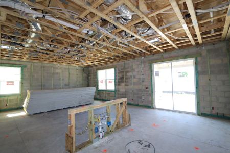 New construction Single-Family house 2857 Misty Marble Drive, Zephyrhills, FL 33540 Castellana- photo 35 35