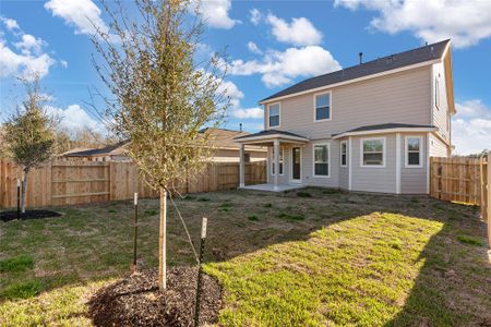 New construction Single-Family house 2520 Eden Ridge Way, Willis, TX 77378 - photo 12 12