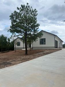 New construction Single-Family house 105 Rowel Ct, Bastrop, TX 78602 - photo