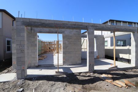 New construction Single-Family house 2868 Misty Marble Drive, Zephyrhills, FL 33540 Herrera- photo 10 10
