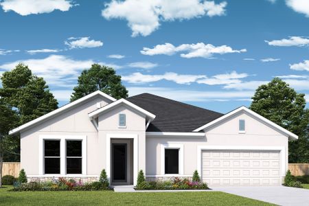 New construction Single-Family house 1543 Gopher Loop, Tarpon Springs, FL 34689 - photo 3 3