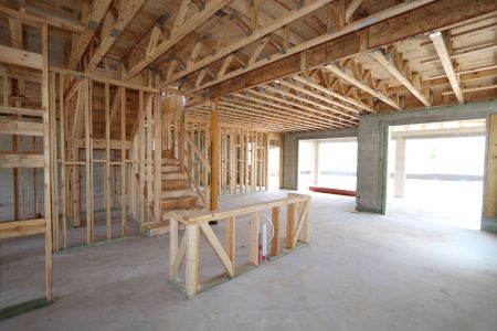 New construction Single-Family house 3024 King Fern Drive, Wimauma, FL 33598 Mira Lago- photo 18 18