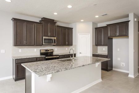 New construction Single-Family house 7015 Monterey Cypress Trail, Sanford, FL 32773 - photo 10 10