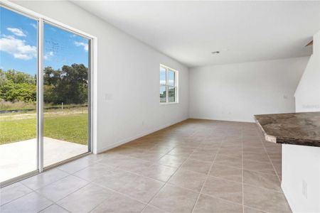 New construction Single-Family house 9108 Sandy Bluffs Circle, Parrish, FL 34219 - photo 6 6