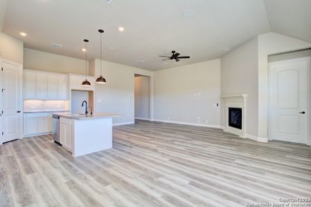 New construction Single-Family house 1591 Seekat Drive, New Braunfels, TX 78132 Premier Series - Palm- photo 14 14
