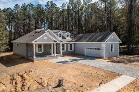 New construction Single-Family house 974 E Allegrie Drive, Inverness, FL 34453 - photo