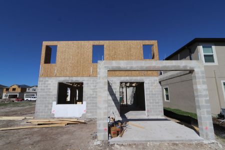 New construction Single-Family house 2463 Sunny Pebble Loop, Zephyrhills, FL 33540 Castellana- photo 6 6