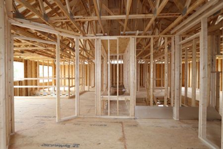 New construction Single-Family house 2522 Sunny Pebble Loop, Zephyrhills, FL 33540 Mira Lago- photo 23 23