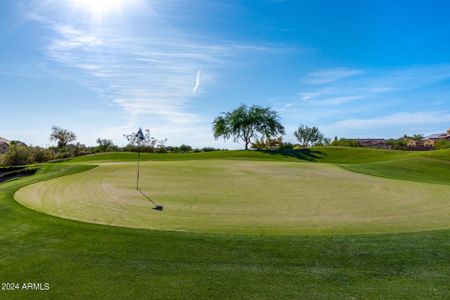 New construction Single-Family house 16041 S 184Th Drive, Goodyear, AZ 85338 - photo 63 63