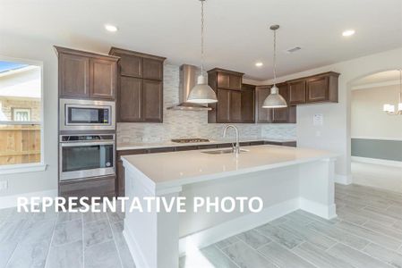 New construction Single-Family house 208 Palatino Bnd, Liberty Hill, TX 78642 - photo