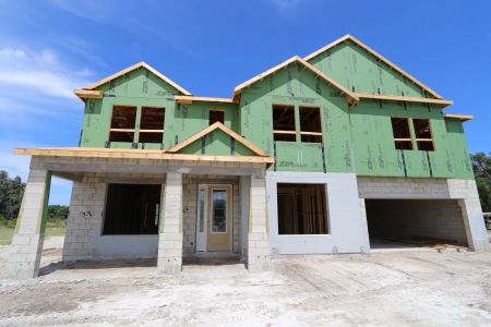 New construction Single-Family house 10634 New Morning Drive, Tampa, FL 33647 Grandshore II- photo 2 2