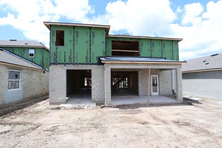 New construction Single-Family house 31801 Sapna Chime Drive, Wesley Chapel, FL 33545 Alenza- photo 42 42