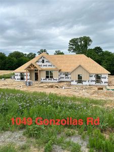 New construction Single-Family house 1049 Gonzollas Road, Springtown, TX 76082 - photo 0