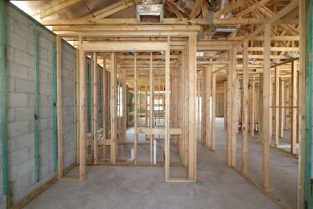 New construction Single-Family house 2416 Clary Sage Drive, Spring Hill, FL 34609 Corina  III- photo 44 44