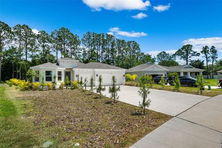 New construction Single-Family house 2909 Gator Crossing Place, New Port Richey, FL 34655 - photo 63 63