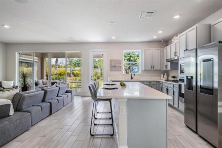 New construction Single-Family house 5539 Del Coronado Drive, Apollo Beach, FL 33572 - photo 12 12