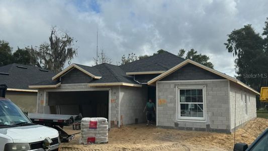 New construction Single-Family house 35 S Kentucky Avenue, Umatilla, FL 32784 - photo 3 3