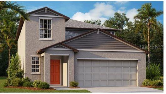 New construction Single-Family house 5150 Fiddle Fig Avenue, Wimauma, FL 33598 Houston II- photo 0 0