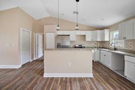 New construction Single-Family house 13756 Sw 113Th Place, Dunnellon, FL 34432 - photo