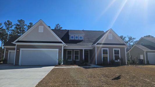 New construction Single-Family house 190 Huguenot Trail, Huger, SC 29450 Asheboro- photo 0