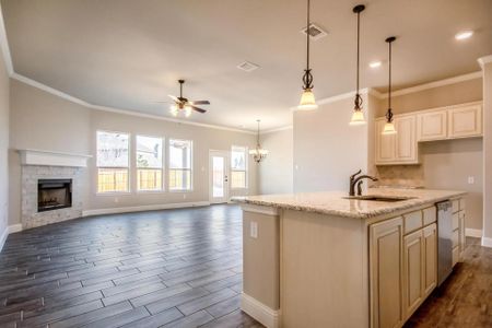 New construction Single-Family house 3117 Blue Hill Drive, Burleson, TX 76028 - photo 68 68