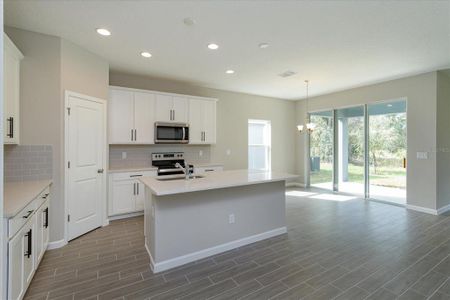 New construction Single-Family house 5065 Grand Teton Court, Deland, FL 32724 Mulberry- photo 3 3